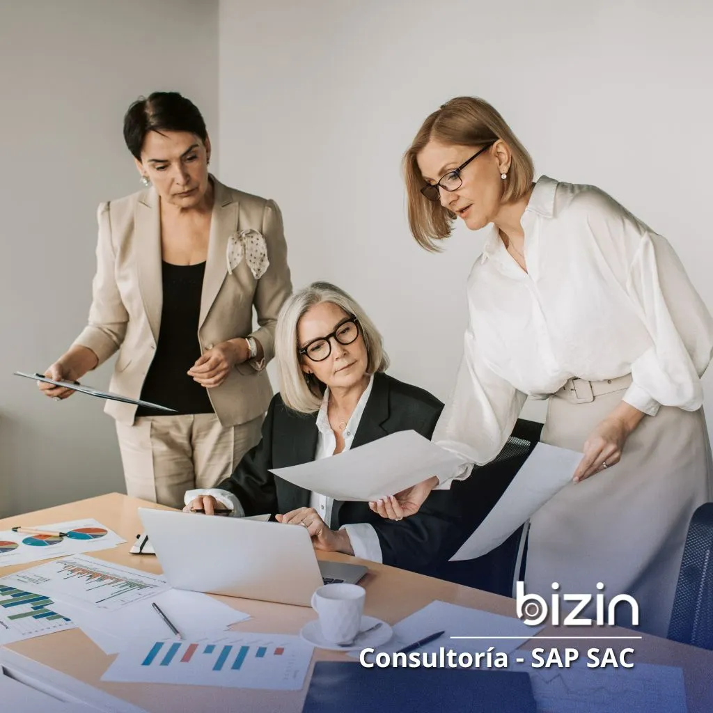 [Consultoría (Plan recurrente) (SAP SAC)] Consultoría (Plan recurrente) (SAP SAC)