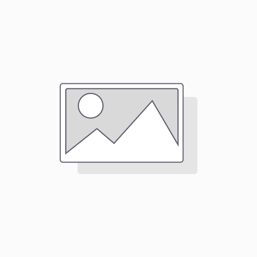 Consulting (Recurring Plan)
